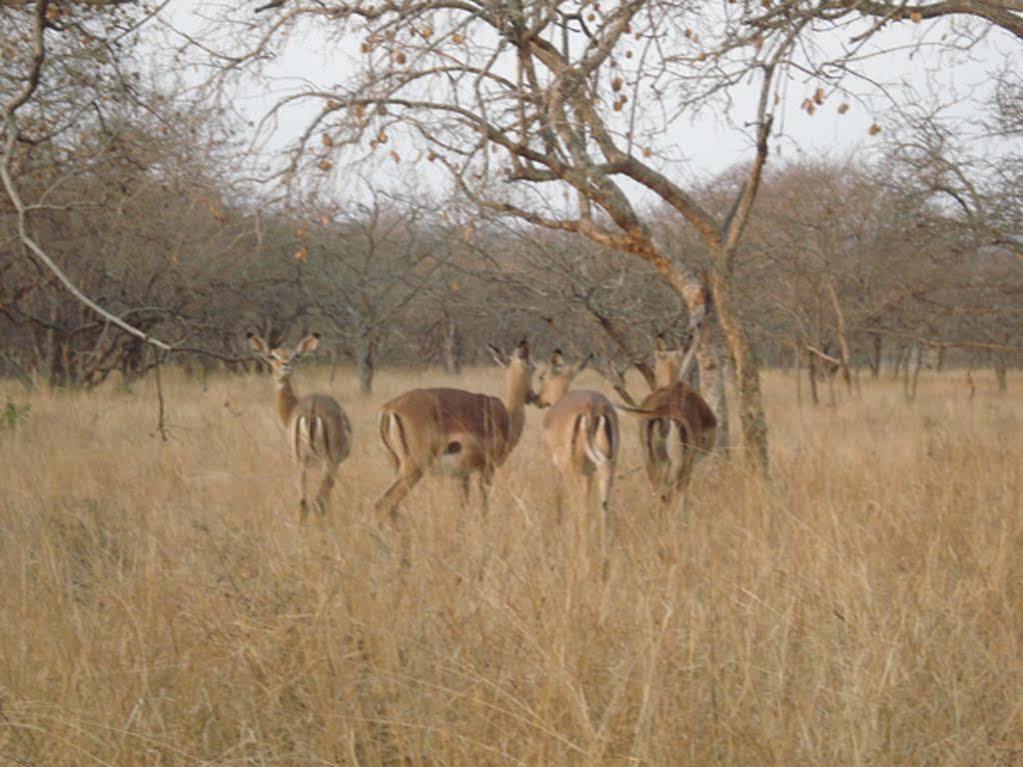 Maduma Boma Game Conservancy 호에드스프뤼트 외부 사진
